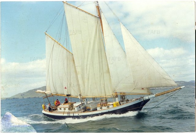 Large picture for advert 102179