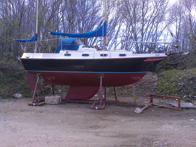 Large picture for advert 96979