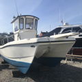 Extra picture for advert 131529