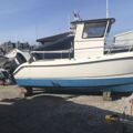 Extra picture for advert 131529