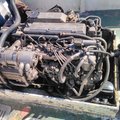 Extra picture for advert 103729