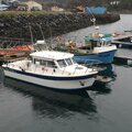 Extra picture for advert 112179