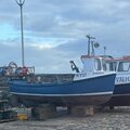 Extra picture for advert 128029