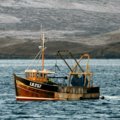 Extra picture for advert 102179